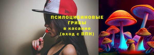 герыч Алексин
