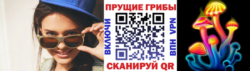 кракен зеркало  Красноармейск  Галлюциногенные грибы мицелий 